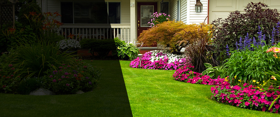 Somerton Landscapers