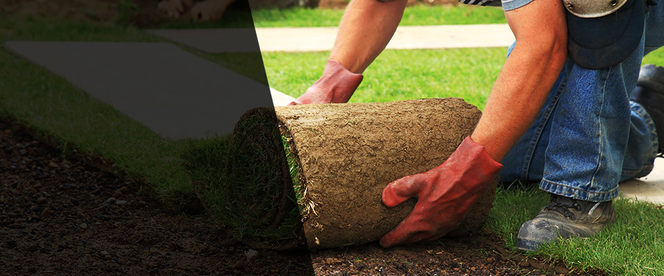 Somerton Landscapers